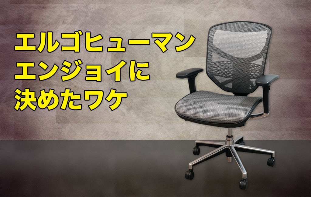 エルゴヒューマン エンジョイに決めたワケ 高級デスクチェアの選び方